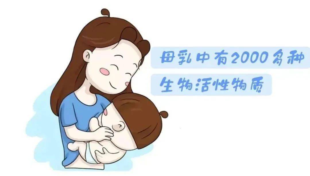 快讯丨市委全面依法治市委员会2024年度党政主要负责人述法工作专题会议召开